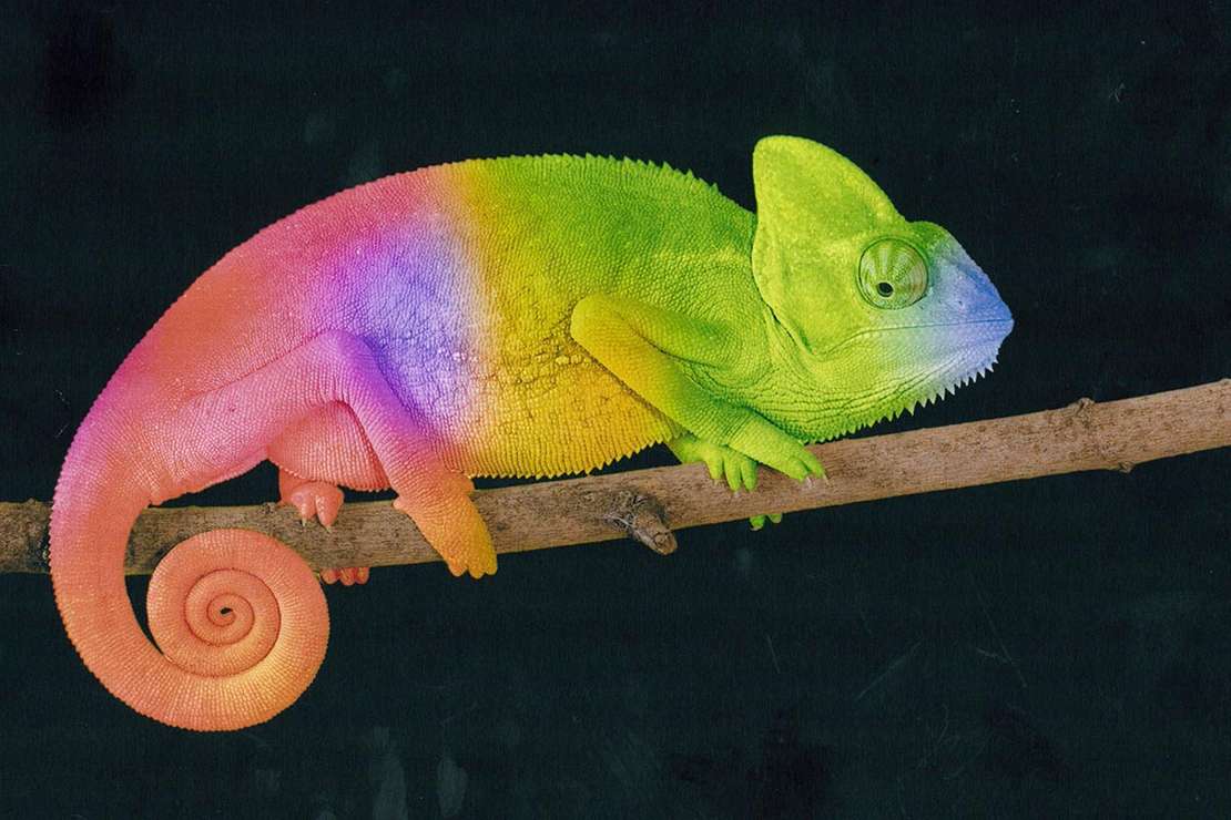 Eloxal Druck auf Aluminium